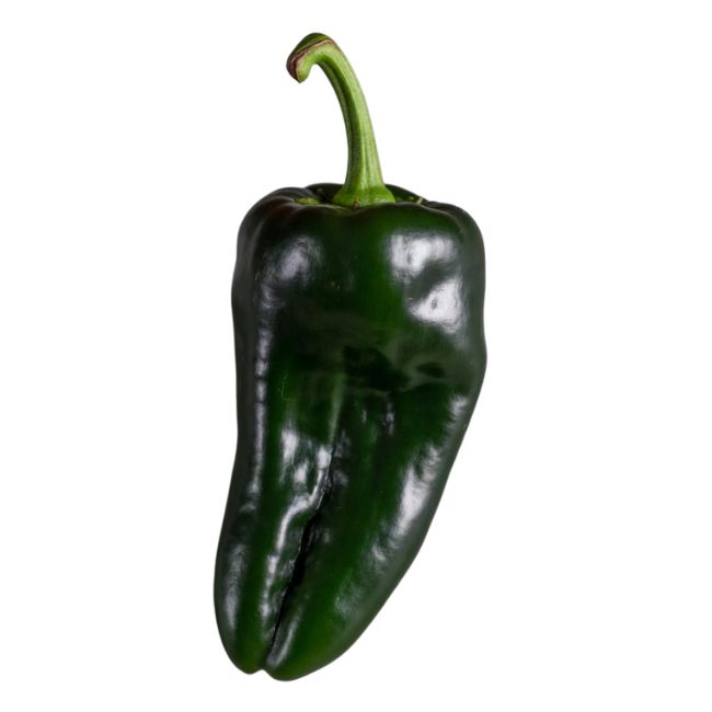 10 Poblano Pepper