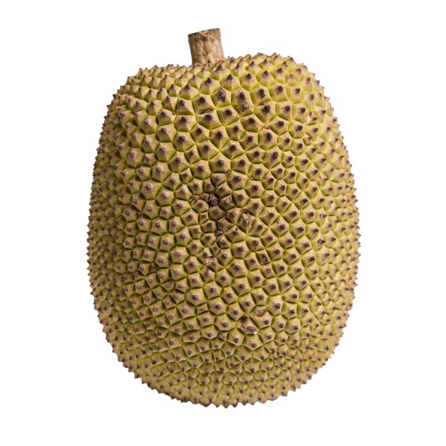 14 Jackfruit