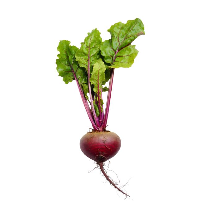 3 Beetroot