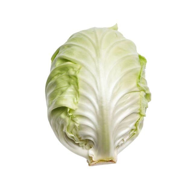 6 White Cabbage